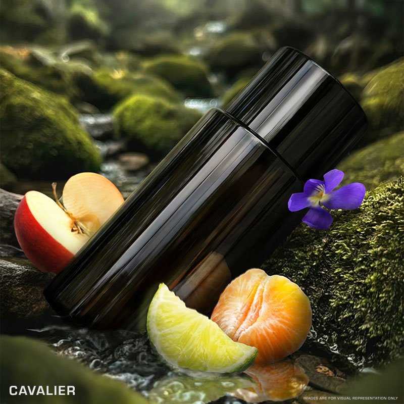 Cavalier / Inspired by Layton - Image 2