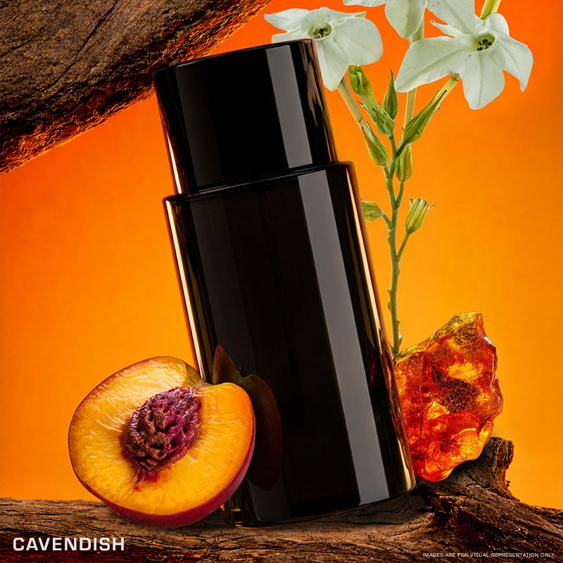 Cavendish / Inspired by Tobacolor - Image 2